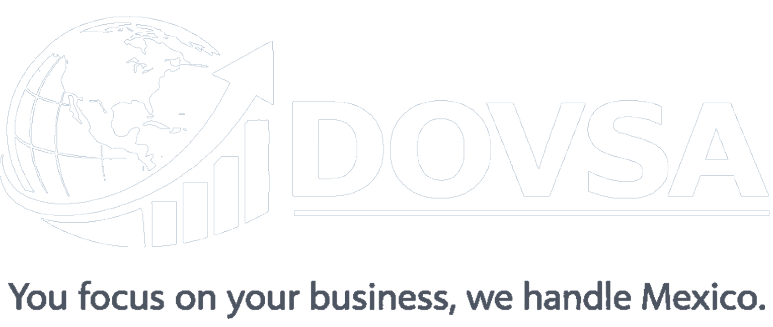DOVSA Consulting Logo